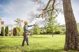 Best Hazardous Tree Removal  in Junction, TX
