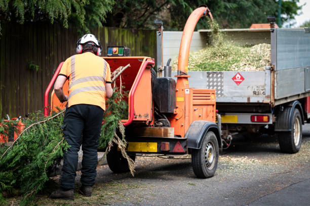 Best Lawn Irrigation Installation and Maintenance  in Junction, TX